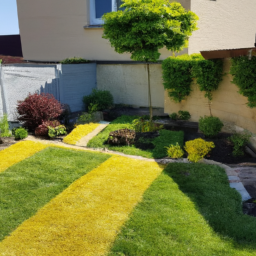 Abattage : enlevez les arbres dangereux ou indésirables de votre jardin en toute sécurité Tulle